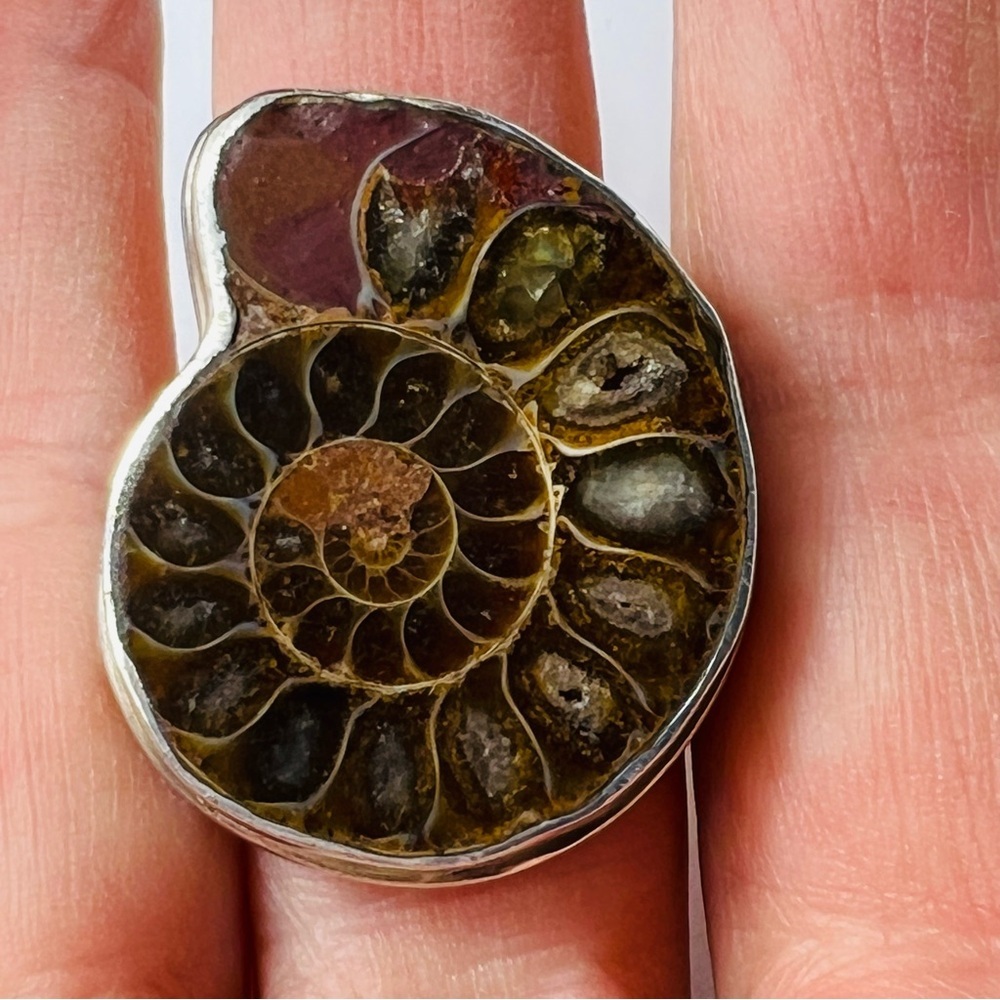 Sterling Silver Ammonite Fossil Ring in Olive Brown